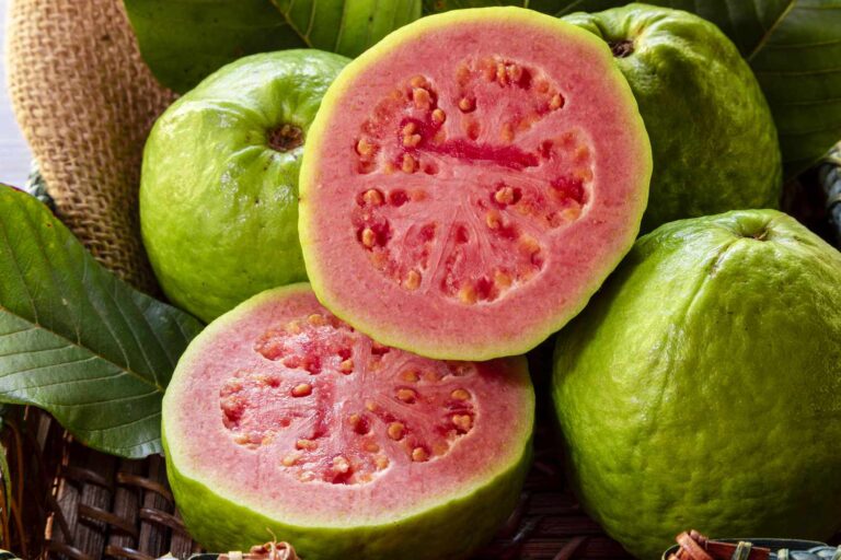 Guava-15d1050d22034909bfca038ef1f8aaa2